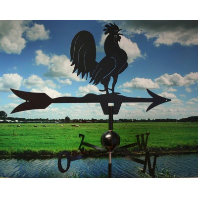 Windwijzer Large met Haan Windwijzer Large met Haan